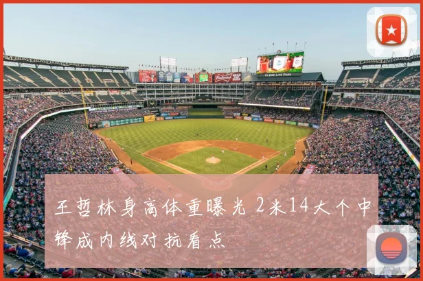 王哲林身高体重曝光 2米14大个中锋成内线对抗看点